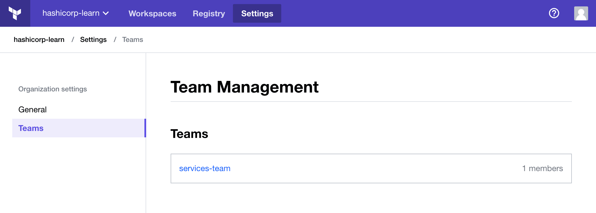 View services-team in Terraform Enterprise team page